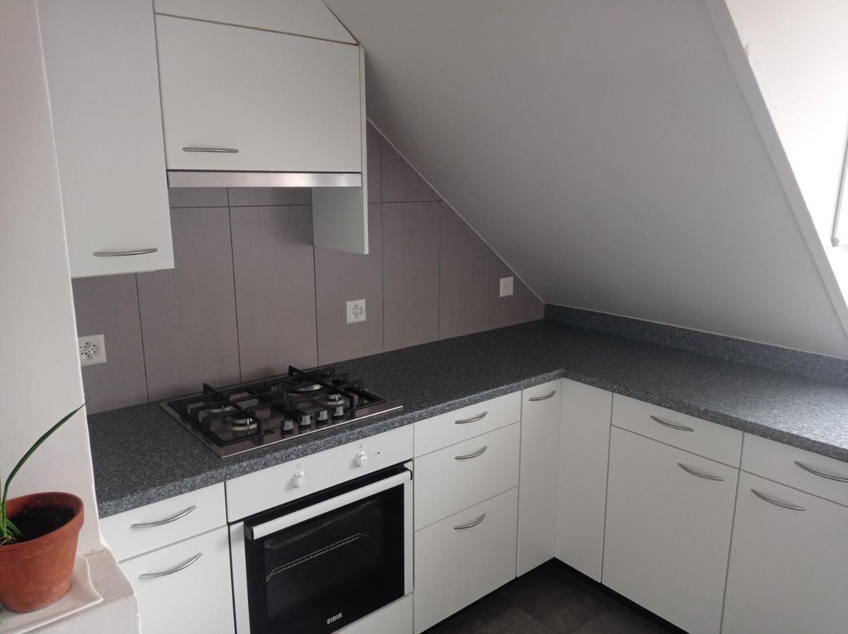 סנט גאלן Gemuetliche Dachwohnung מראה חיצוני תמונה