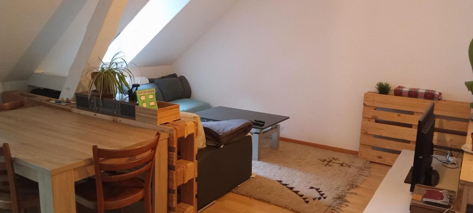סנט גאלן Gemuetliche Dachwohnung מראה חיצוני תמונה