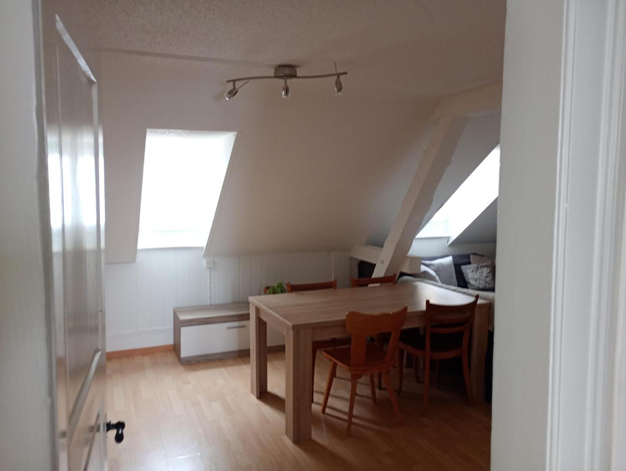 סנט גאלן Gemuetliche Dachwohnung מראה חיצוני תמונה